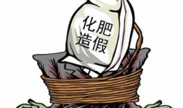 湖南工厂爆料案件最新情况,真相逐步浮出水面